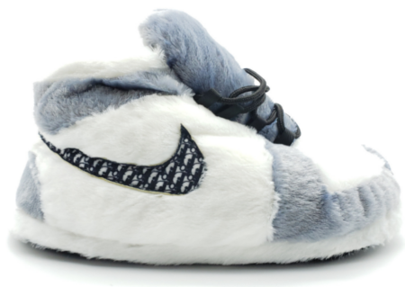 Chausson Sneakers Nike Air Jordan Dior