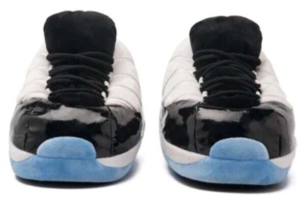 Chausson Sneakers Jordan Concord Blanc