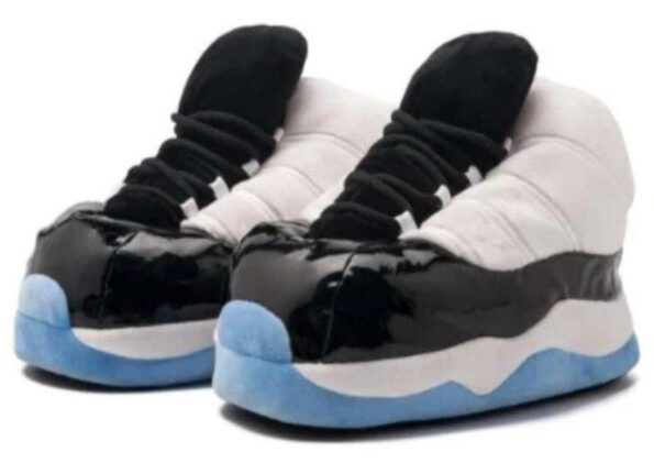 Chausson Sneakers Jordan Concord Blanc